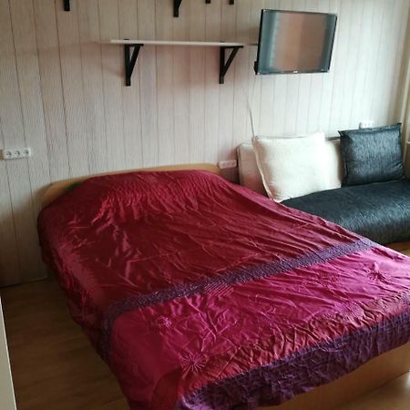 Flat, 1 Room, Study Panevėžys Exterior foto