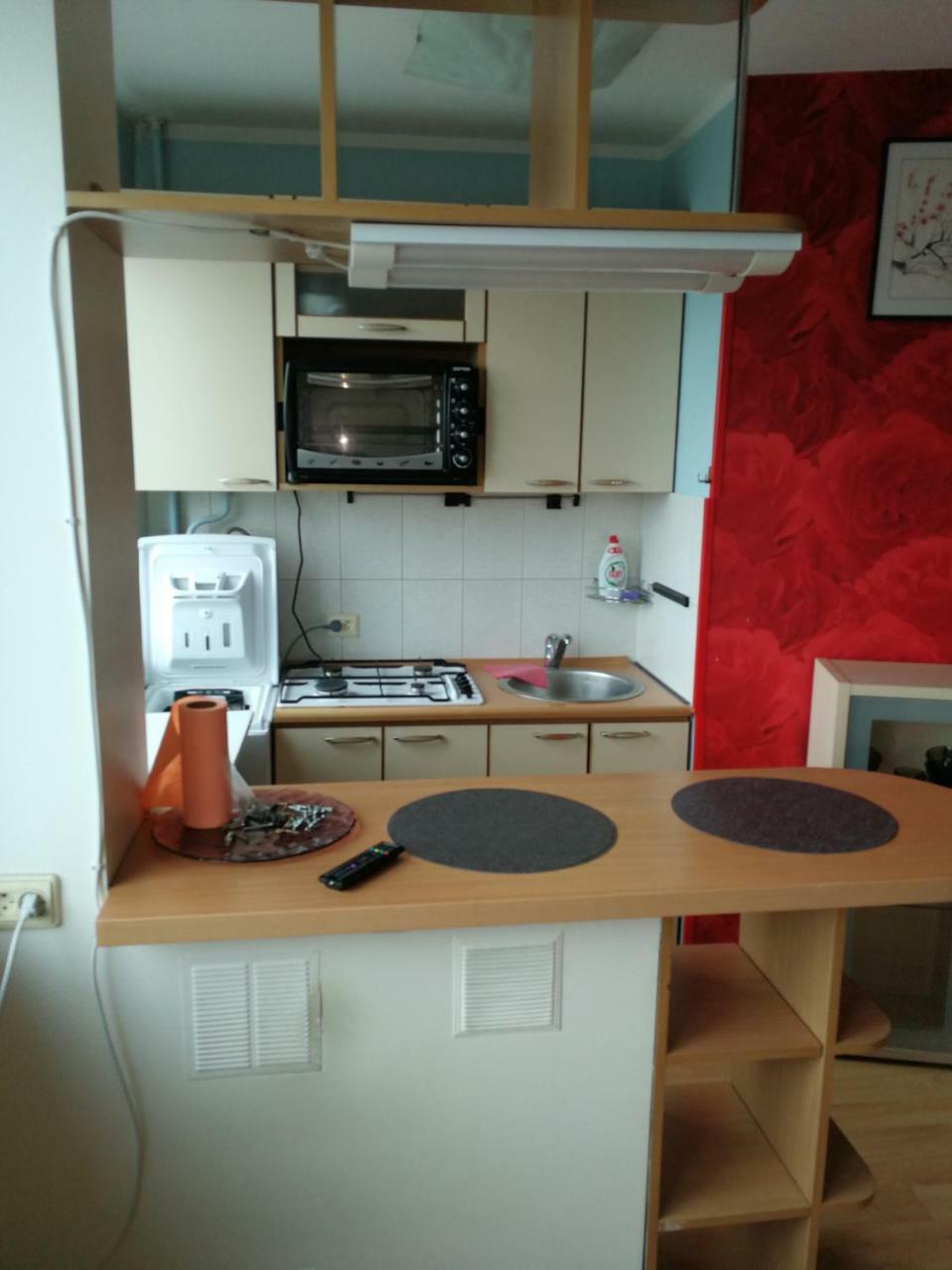 Flat, 1 Room, Study Panevėžys Exterior foto